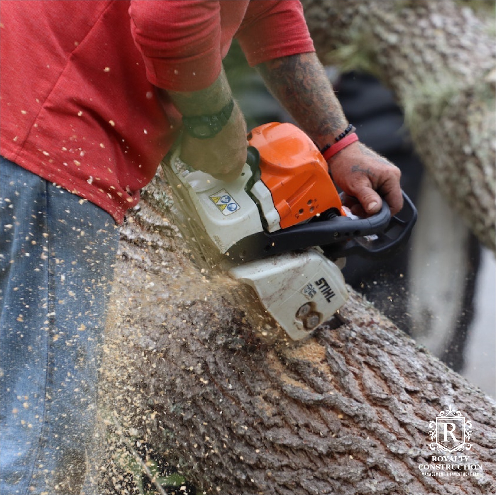 6- Tree Cutting royalty services-03 6- Tree Cutting royalty services-03